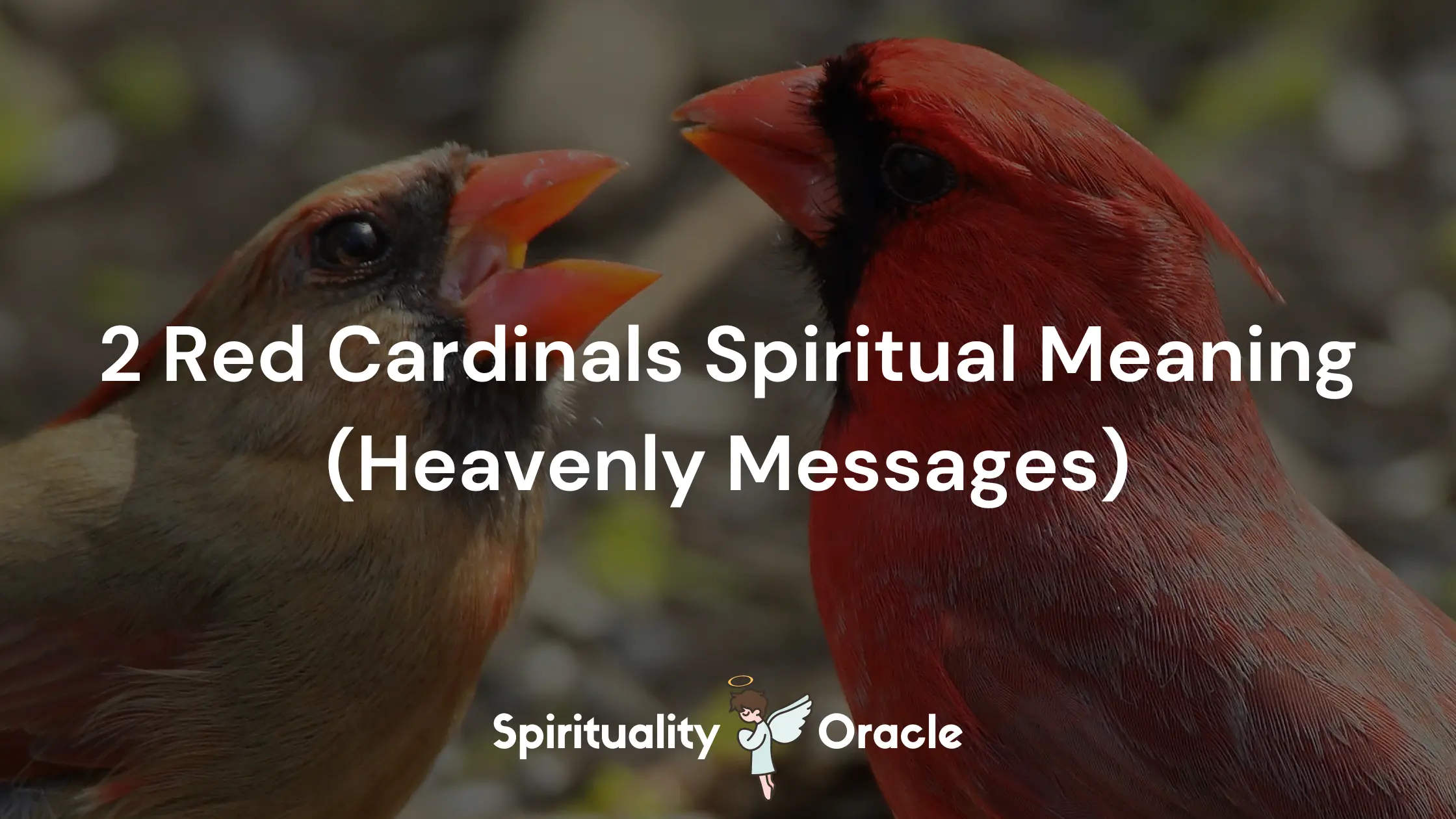 2 Red Cardinals Spiritual Meaning