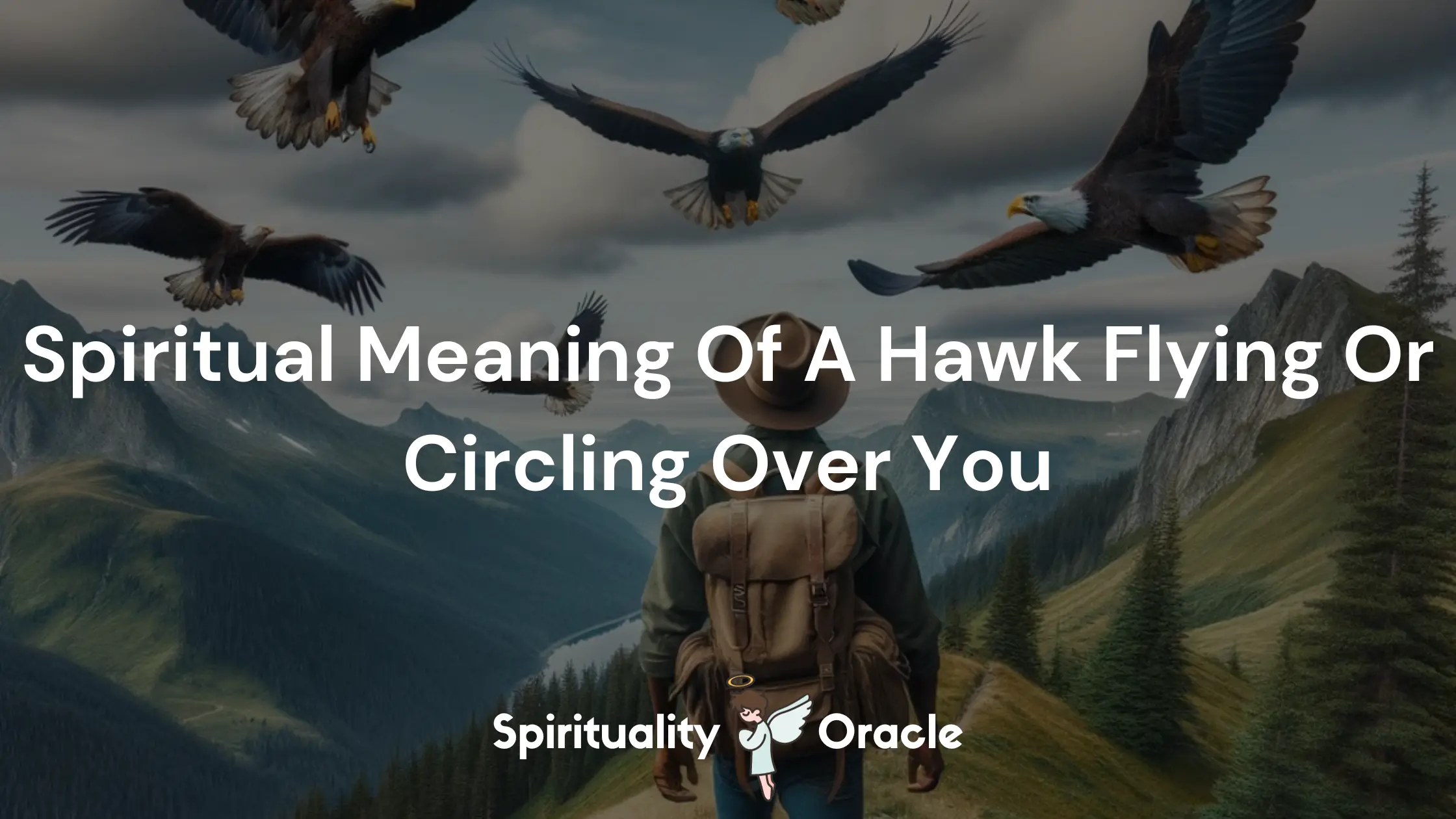 Spiritual Meaning Of A Hawk Flying Or Circling Over You
