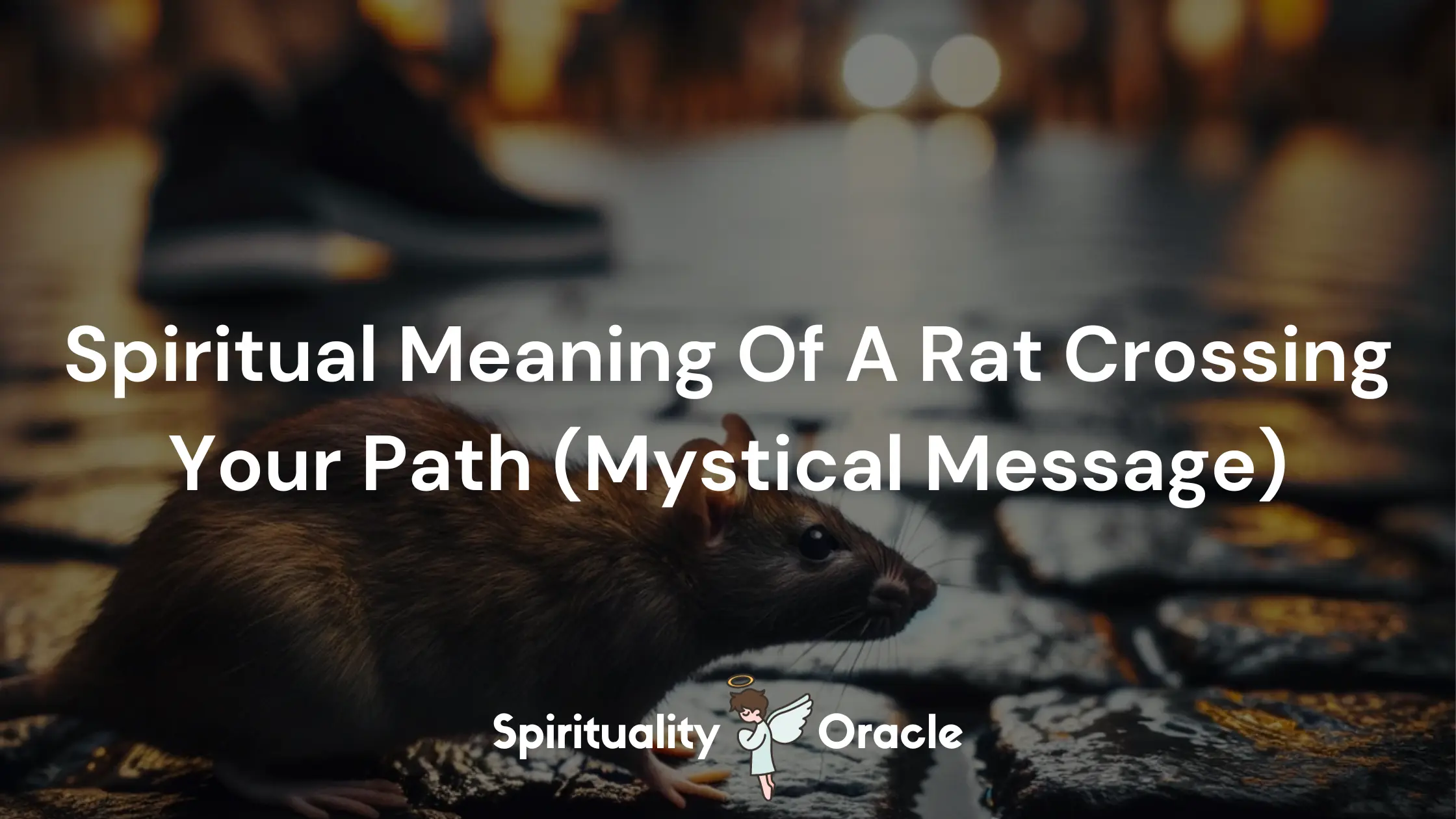 Spiritual Meaning Of A Rat Crossing Your Path (Mystical Message)