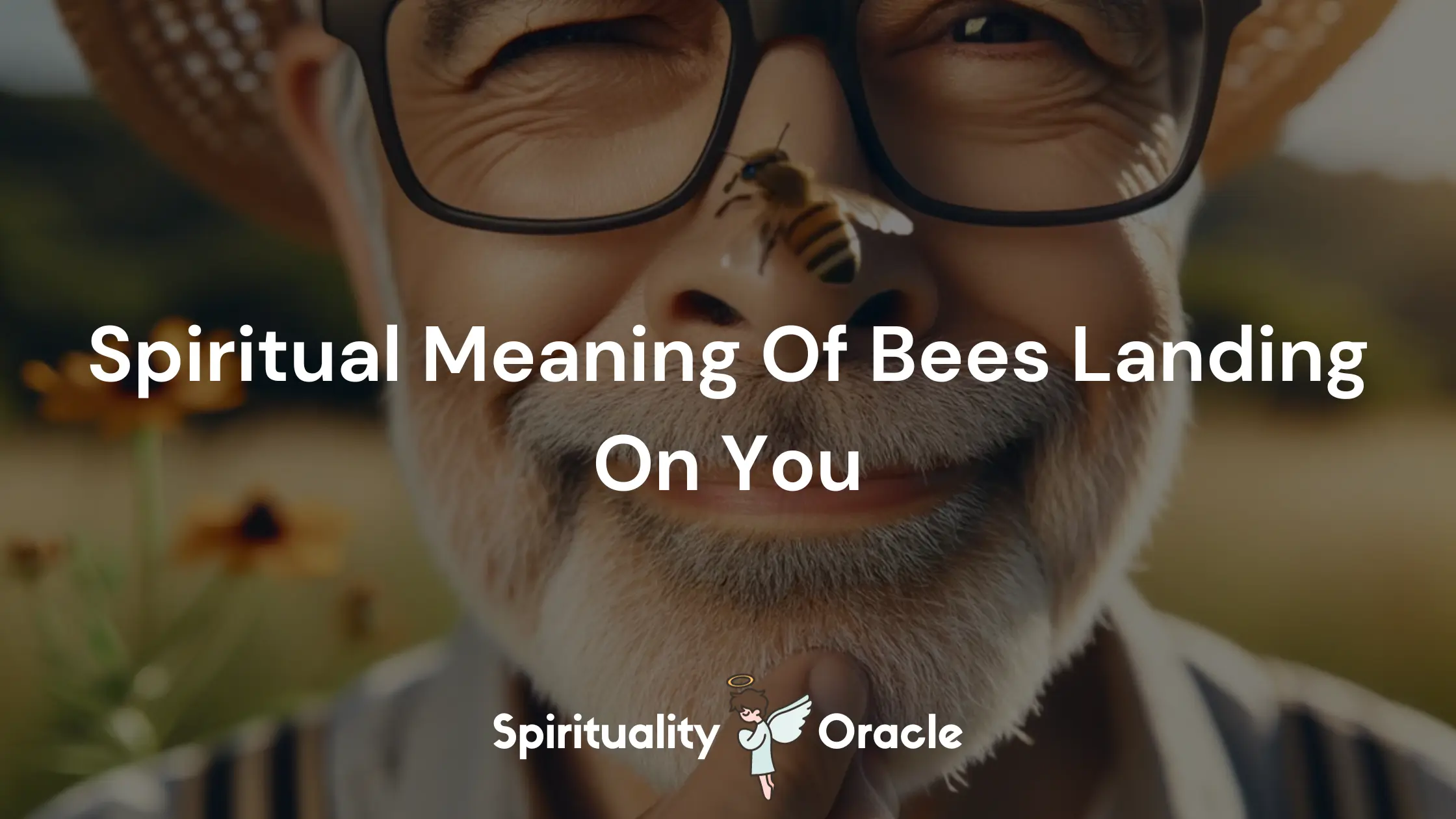 Spiritual Meaning Of Bees Landing On You